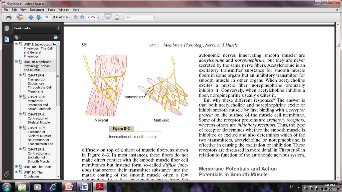 Smooth muscle