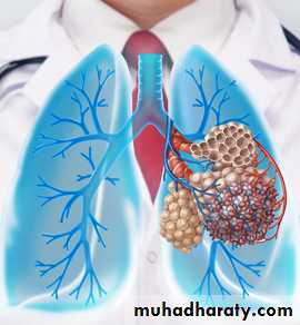 Chest investigations