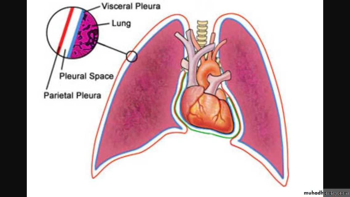 Chest investigations