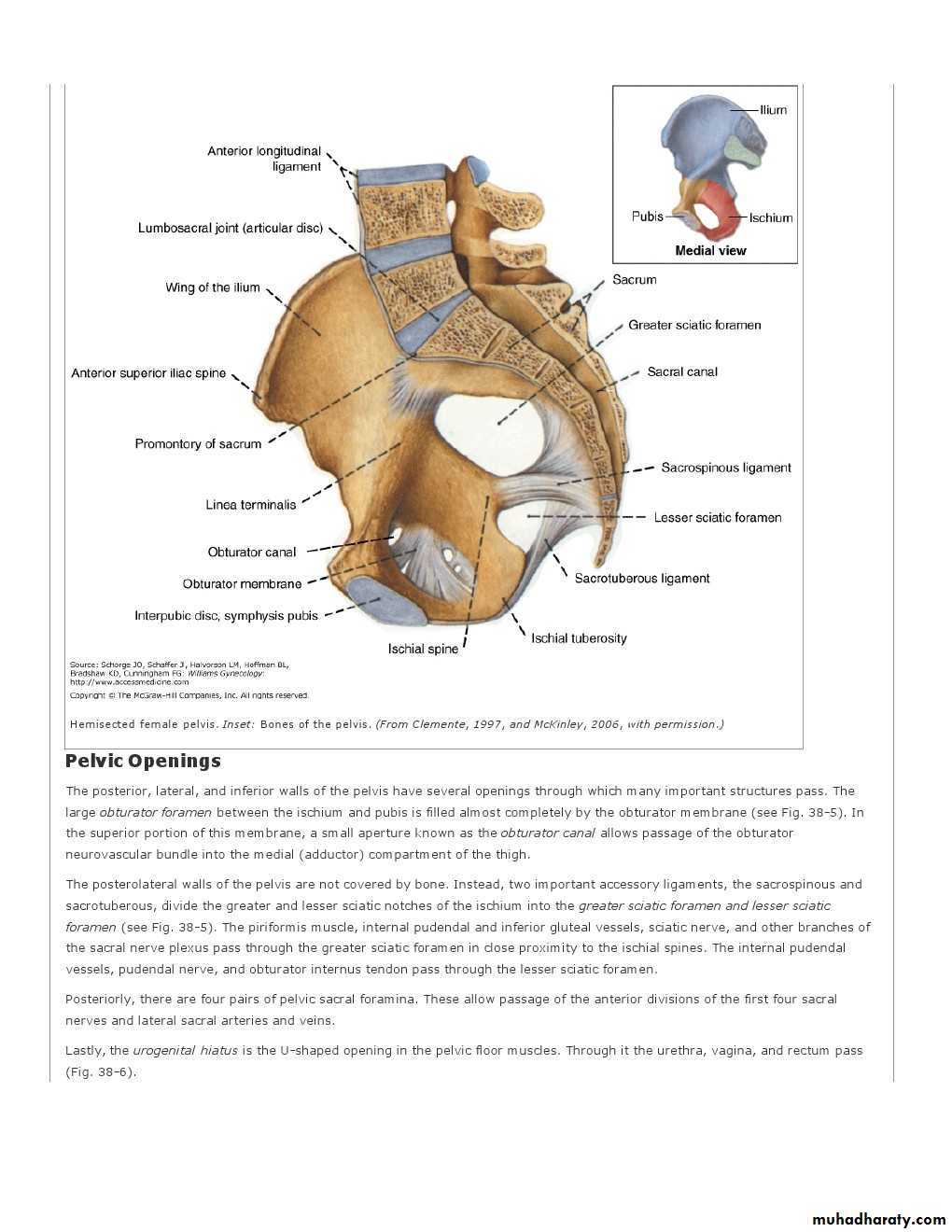 Anatomy of female reproductive system