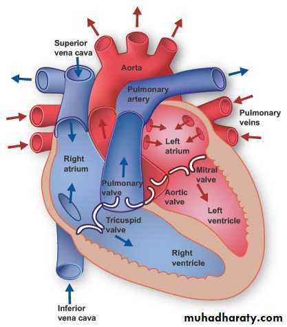 Hypertension