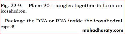 viruses and prions