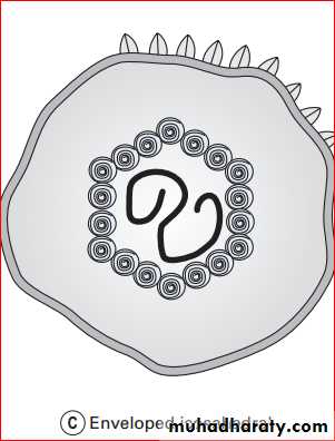 viruses and prions