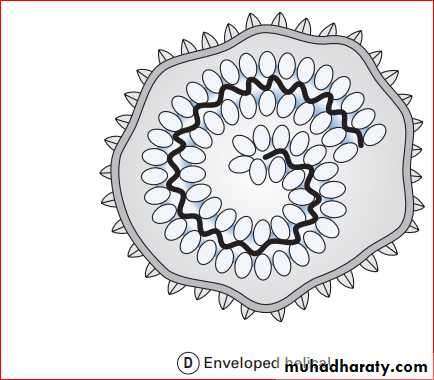 viruses and prions