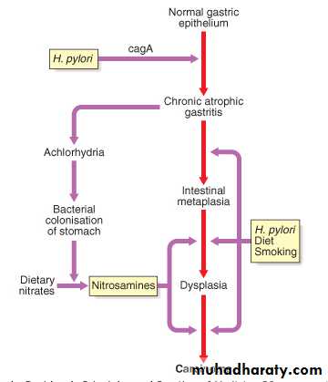 TUMOURS OF THE STOMACH