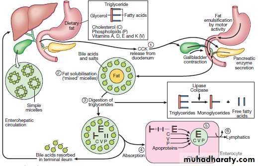MALABSORPTION