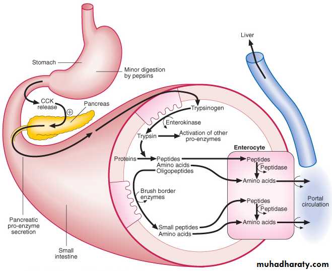 MALABSORPTION