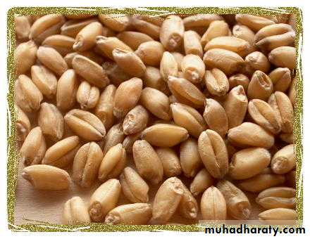 MALABSORPTION
