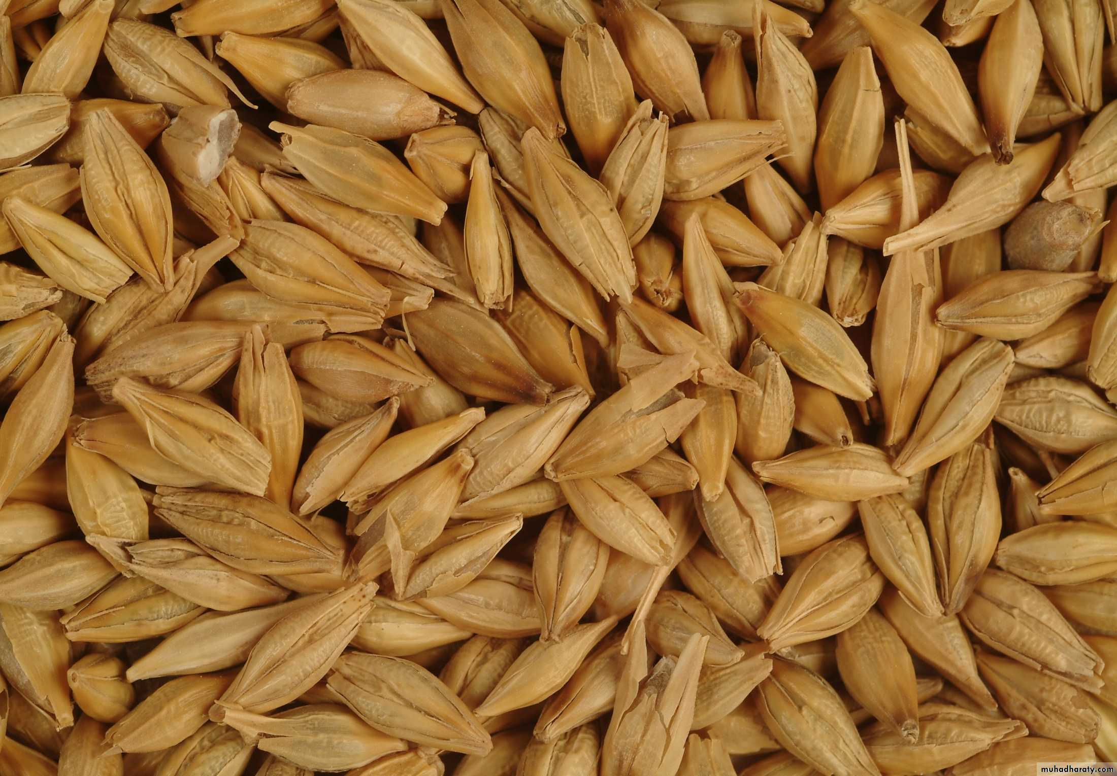 MALABSORPTION