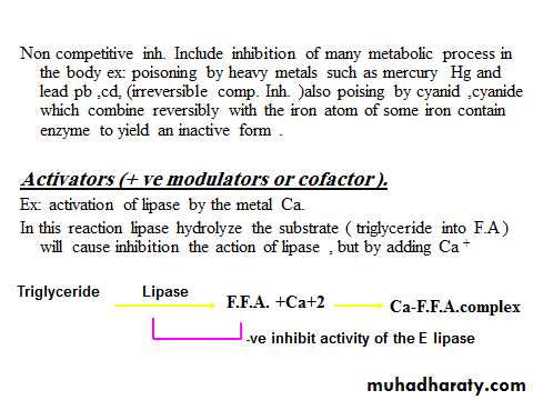 Enzyme