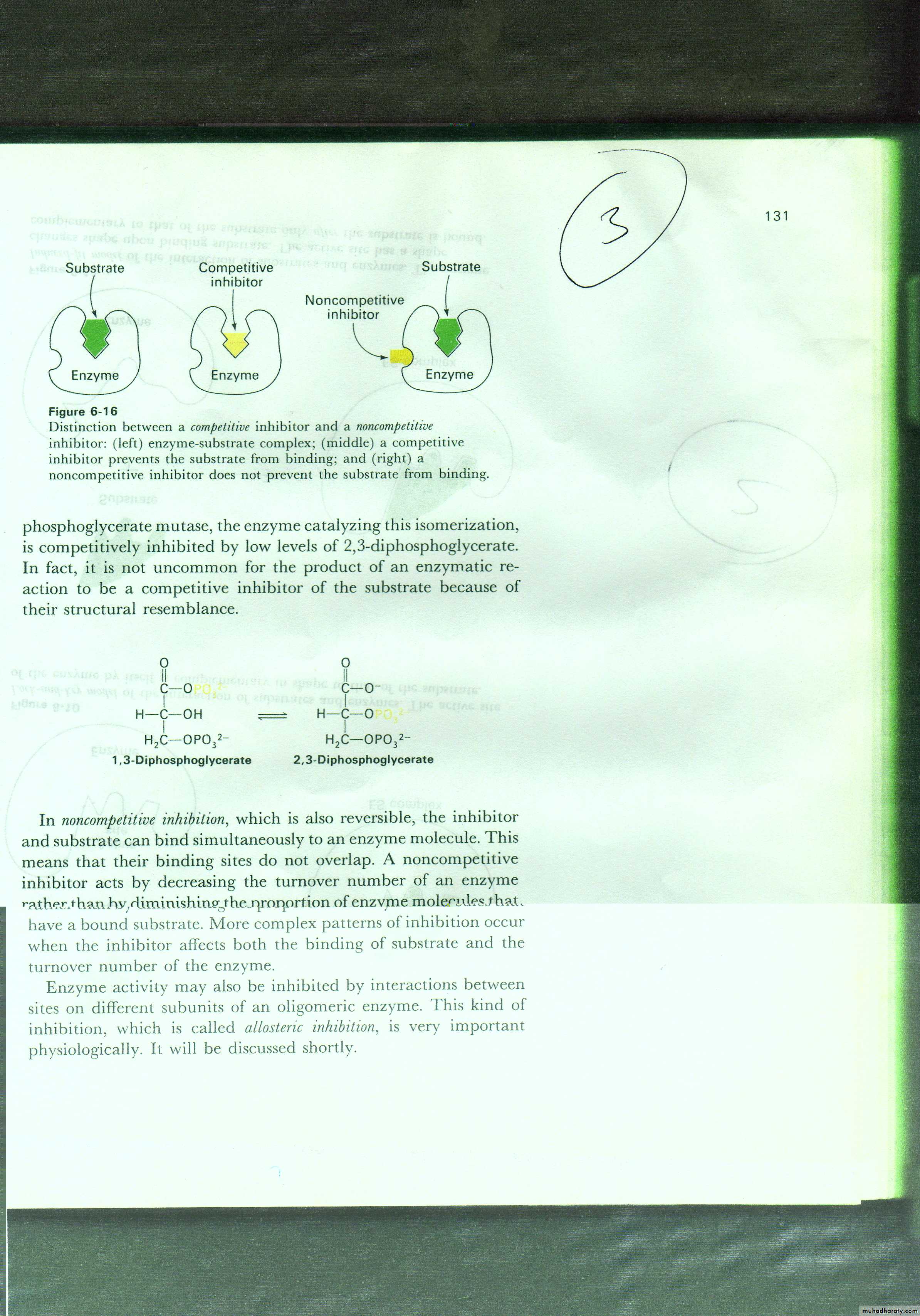 Enzyme