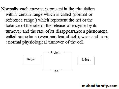 Enzyme