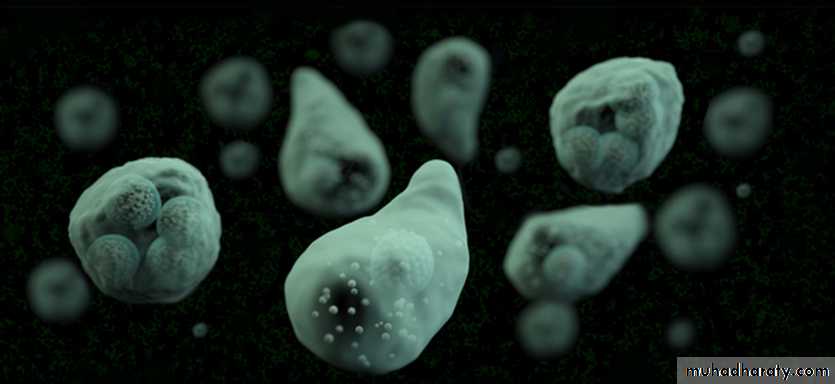 Amebiasis