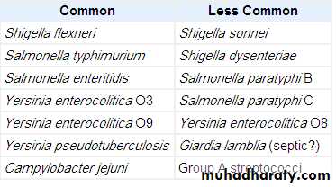 Spondeloarthropathy