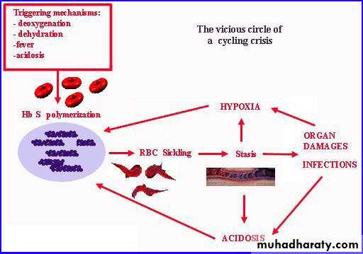 hemoglobinopathies