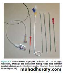 Renal surgical infections