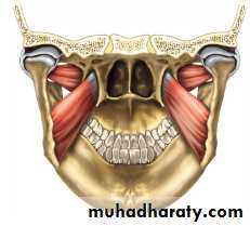 myology related to CD
