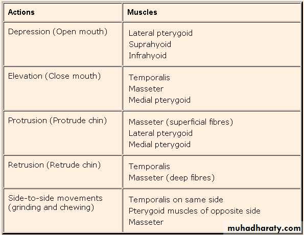 myology related to CD