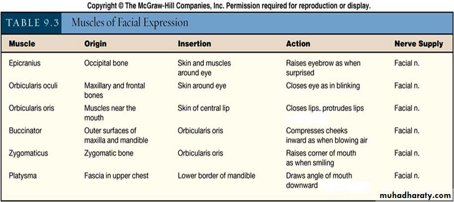 myology related to CD