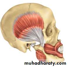 myology related to CD