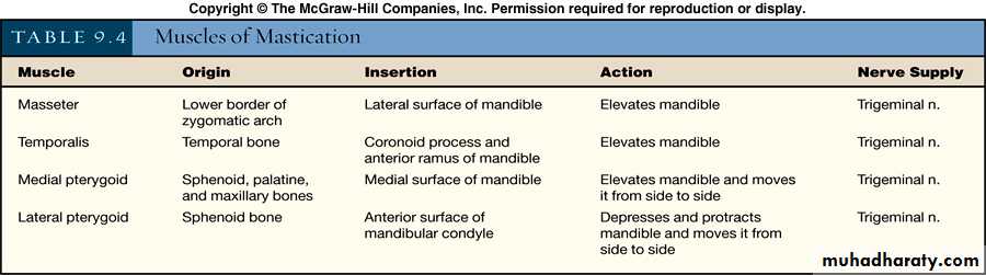 myology related to CD