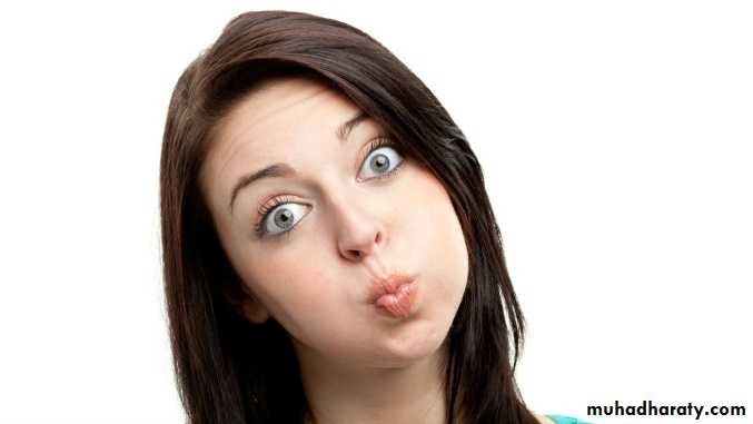 Human anatomy face
