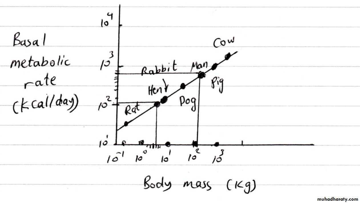 lec1
