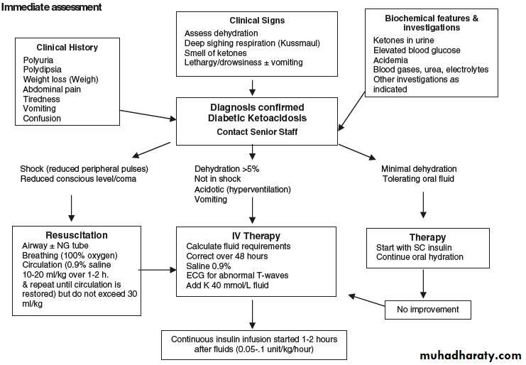 Diabetes mellitus in children