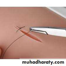 Insturments