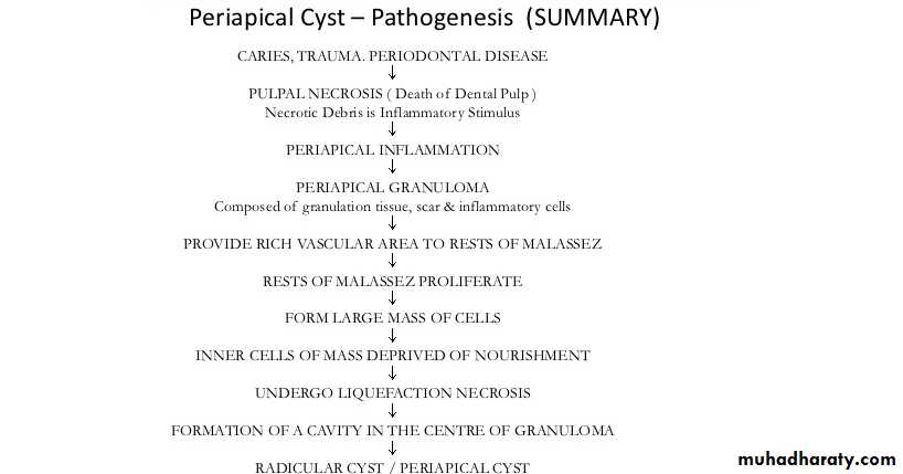 periapical pathology