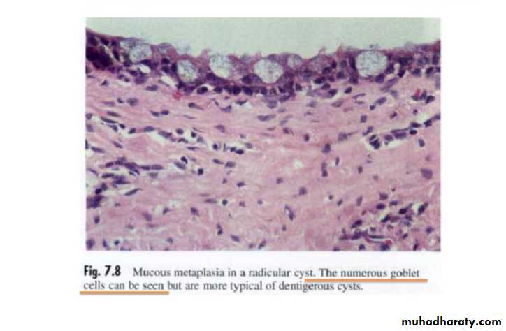 periapical pathology