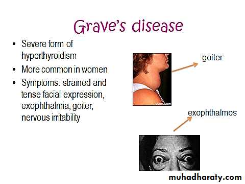 Endocrine system