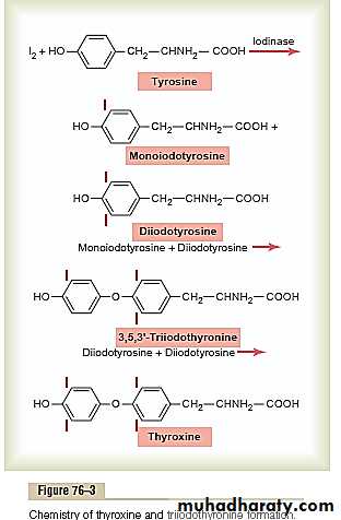 Endocrine system