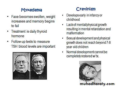 Endocrine system