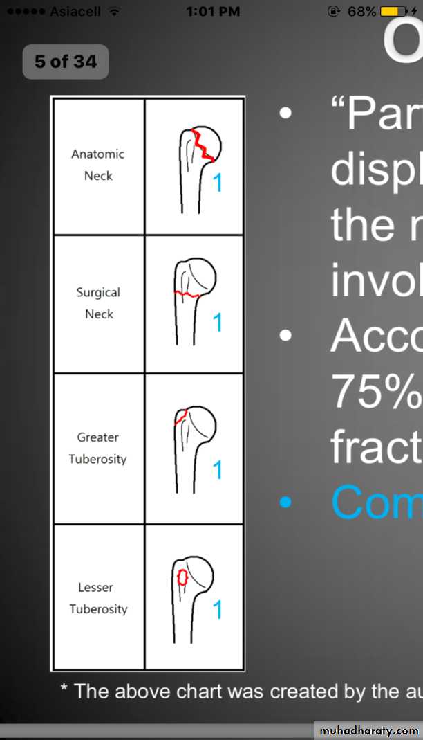 neer classification