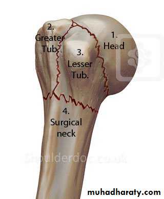 neer classification