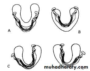 Panoramic Radiography