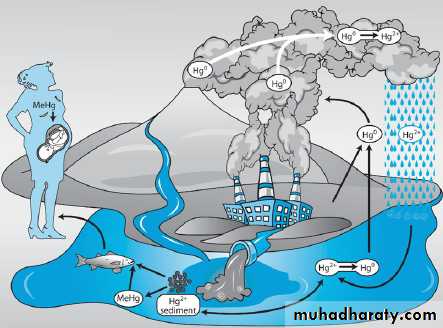Heavy metals