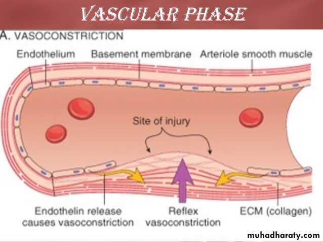 bleeding disorders