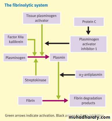 bleeding disorders