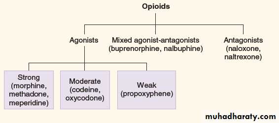 PAIN AND ANALGESIC