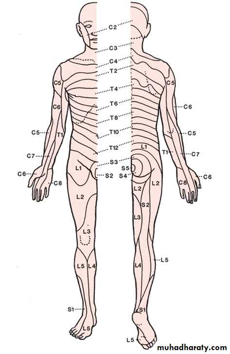peripheral nerve injury
