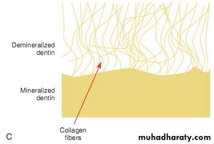 Principle of adhesion