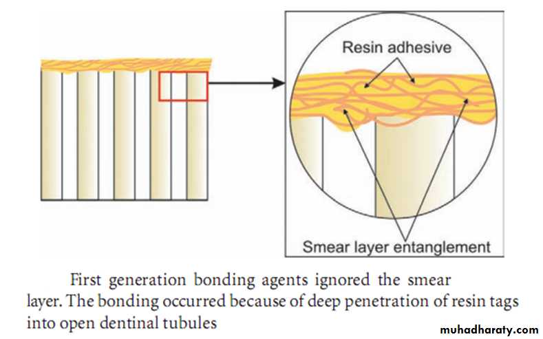 Principle of adhesion