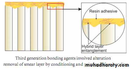 Principle of adhesion