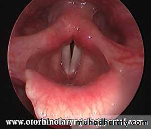 larynx