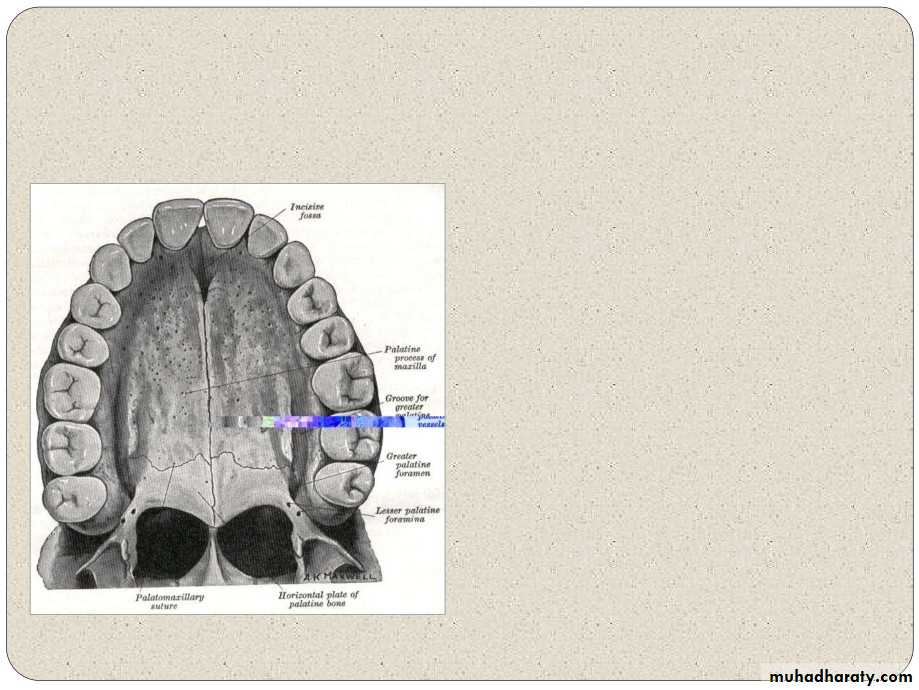 Expansion in orthodontics