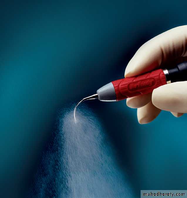 Cleaning and polishing instrument