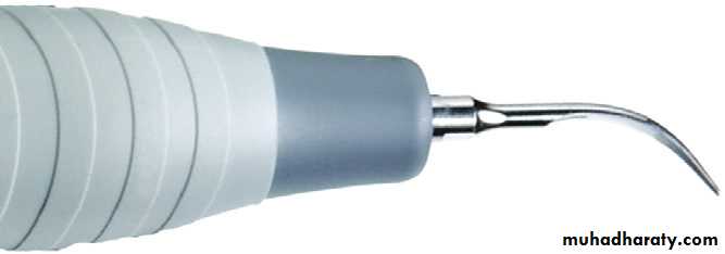 Cleaning and polishing instrument