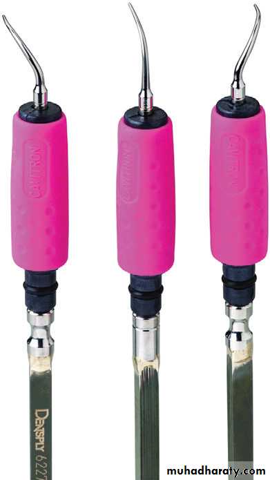 Cleaning and polishing instrument